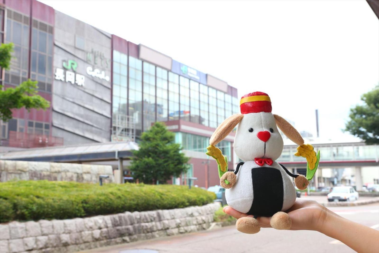 Hotel Hokke Club Niigata Nagaoka Наґаока Екстер'єр фото